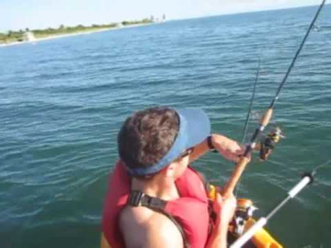 Kayak Fishing - Crevalle Jack
