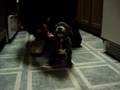  - MovieZen Video