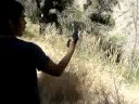 zapata shootinng