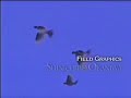 part 1 of ff9 - opening