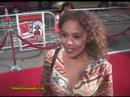 Rachel True