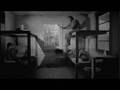 Down By Law In Pictures - Down by Law - Flixster Video
