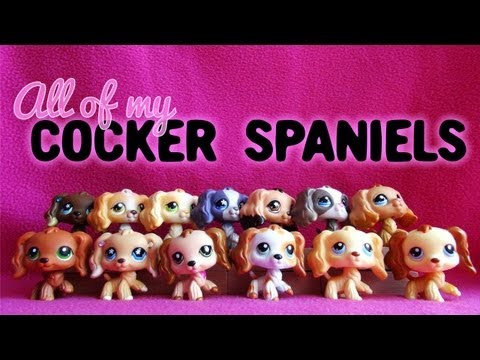 how to collect lps