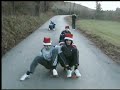 xmas crazy skate xmas crazy skate