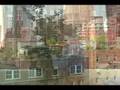Dave Egbert The Coastal Gardener Promo 190