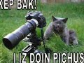 ***** Funny Cats 5 ***** ***** Funny Cats 5 *****