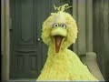 Classic Sesame Street - Big Bird and Sid Caesar