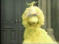 Classic Sesame Street - Big Bird and Sid Caesar