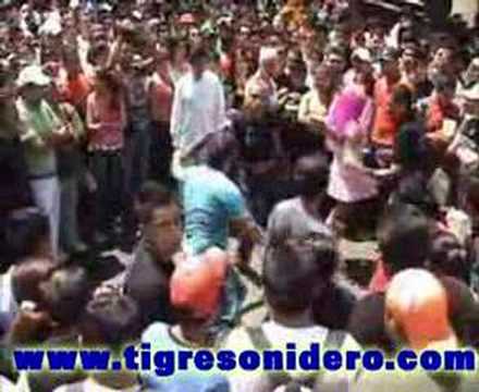 tigre sonidero   la merced  siboney