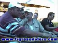 tigre sonidero   la merced  siboney