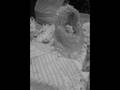 videos de Nancy's Baby Shower