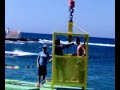 Koen & Mike Bungy Jump