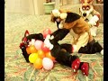 Megaplex 2006 Video highlights