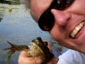 jaws-montageleviathan-by-shudder.html