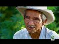 Campesinos desplazados en Colombia 