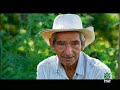 Campesinos desplazados en Colombia 
