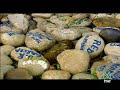 Campesinos desplazados en Colombia 
