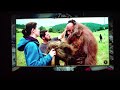\"Prince Caspian\" Blu-ray review (Part 1) \"Prince Caspian\" Blu-ray review (Part 1)