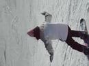 Rreggina snowboarder ;)...qua qua!