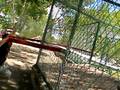 videos de GAEL.AVI