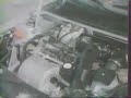 Peugeot 205 GTI - Toutes griffes dehors