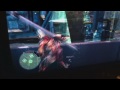 Click here to watch this video Starhawk at Fantastic Fest by DeadSpider