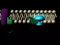 molecular-structure-animation.html