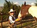 Pet Living Wills - an overview
