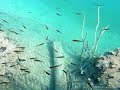 Underwater Underwater