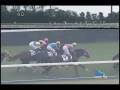 videos de [レースリプレイ] 081115 5京都3 05R 新馬