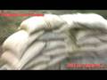 videos de EL CERRO PBS TOTANA