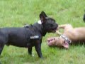Thyson, Emma+Camillo 2