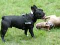 Thyson, Emma+Camillo 2