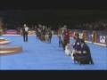 Animal Planet Eukanuba World Challenge 2008 TV Show
