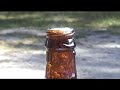 FRESNEL LENS 1 SUN COLLECTOR VINTAGE GREENPOWERSCIENCE
