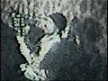performance of 