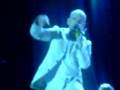 r.e.m. langerado 2008
