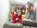Os siris revivem!