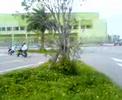 4mini
