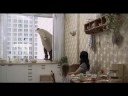 ария гибдд