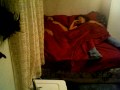 Rez paranormal activity