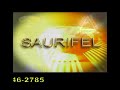 \"O Segredo\" para Riqueza (SAURIFEL)