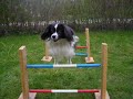 Bildspel