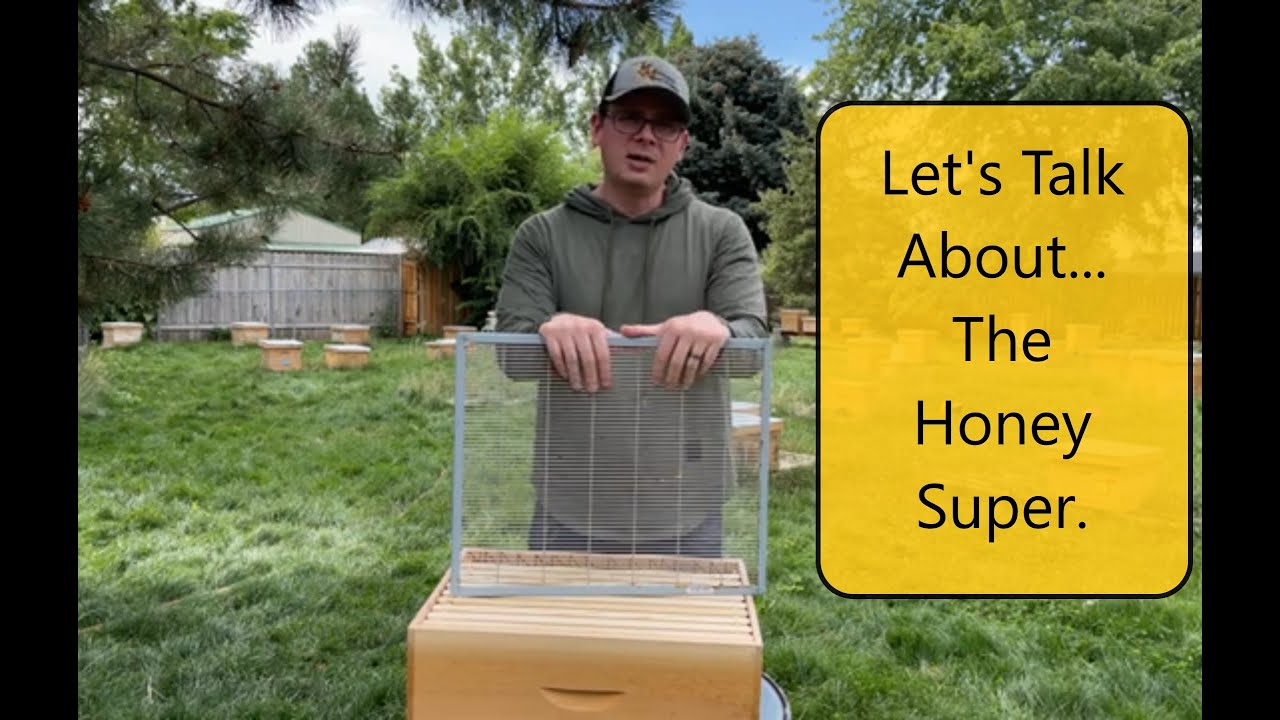 Episode 17: Let's Talk About - The Honey Super