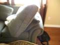 Akeela Sleeping