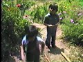 Piccoli ortolani