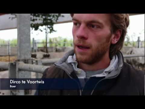 Boer Dirco te Voortwis 