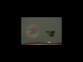 XBox360 + Wii Vs. PS3 Pt 1. XBox360 + Wii Vs. PS3 Pt 1.