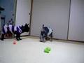 M.シュナ&フレンチブル(クウぱぱVsアントニオ)