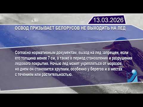 Новостная лента Телеканала Интекс 13.03.26.
